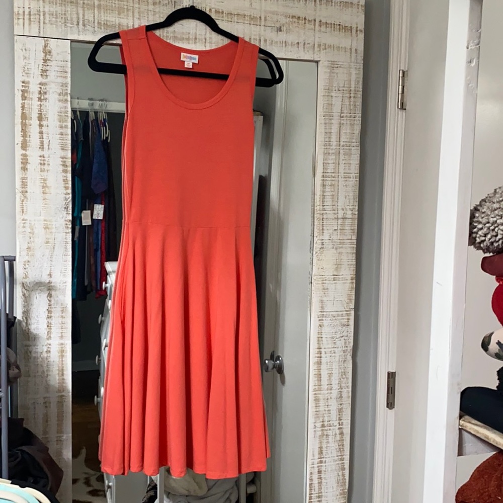 Lularoe Nicki dress